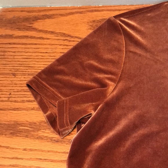 Draper’s & Damon’s medium petite velour short sleeve shirt. Like new condition! - Picture 3 of 7
